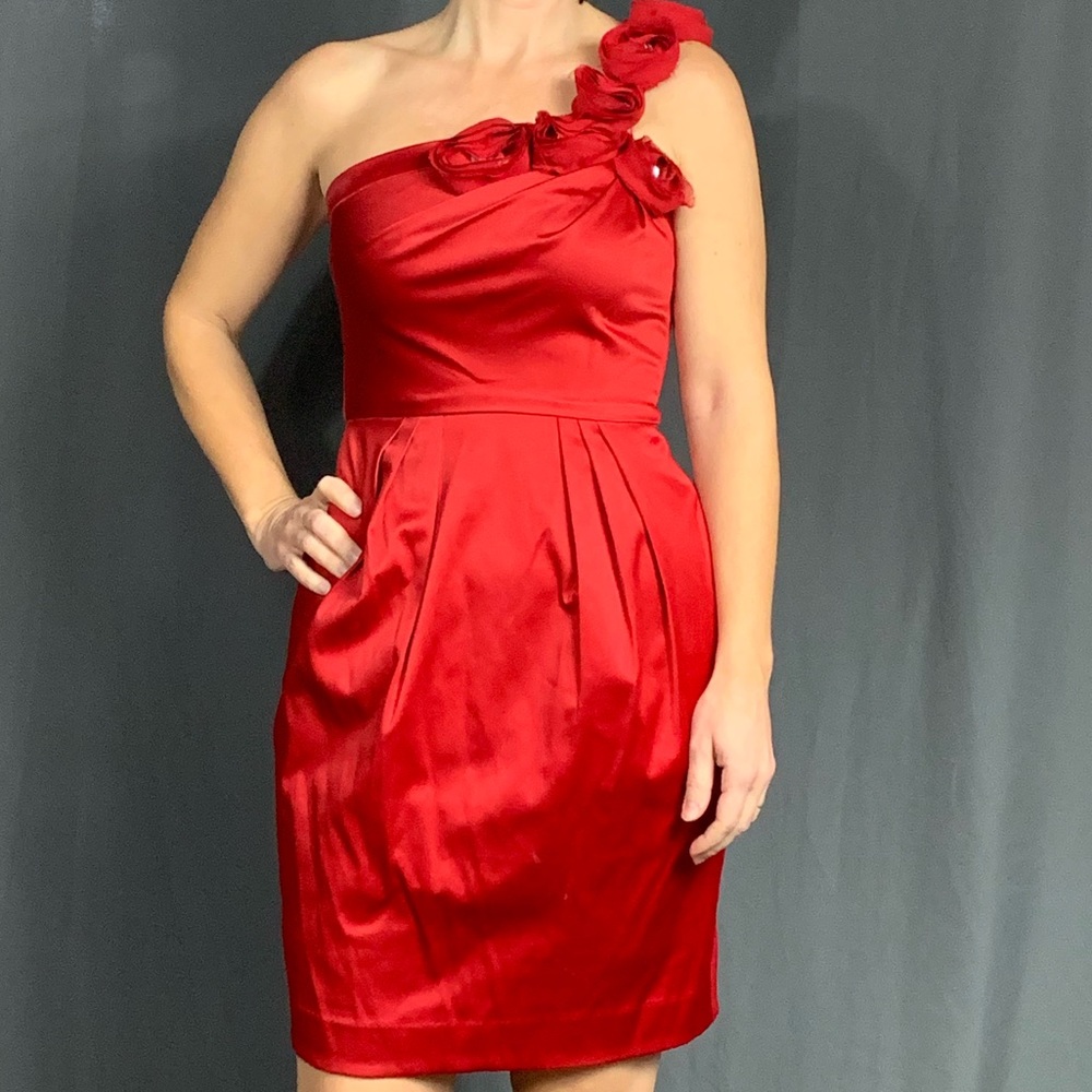 Bison Bisou size 4 Red Cocktail Dress